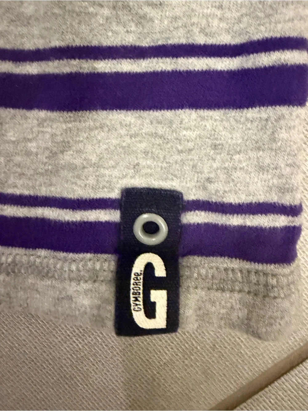 Gymboree Boys Gray Purple Striped Long Sleeve Shirt 3T 100% Cotton
